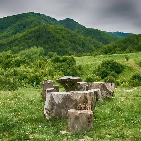 Pietroasa Aleu - Apuseni Mountains别墅 外观 照片